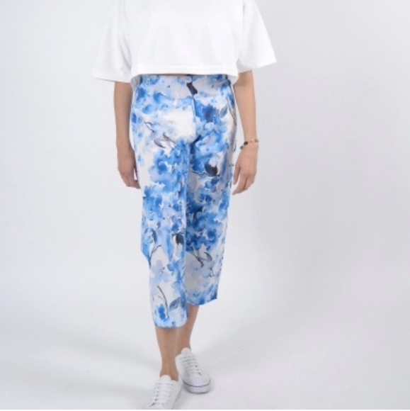 Bryn Walker Fioro Cotton Print Blue Capri Pant.